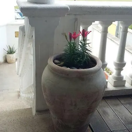 Bed & Breakfast Anno Domini